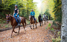 Romania-Transylvania-Carpathian History & Nature Ride